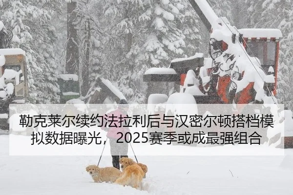 lei-ke-lai-er-xu-yue-fa-la-li-hou-yu-han-mi-er-dun-da-dang-mo-ni-shu-ju-bao-guang-sai-ji-huo-cheng-zui-qiang-zu-he-2-433.jpg